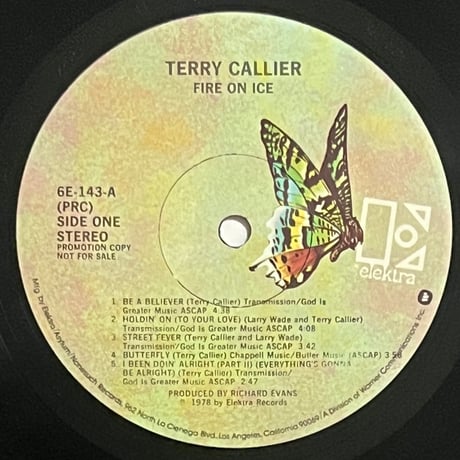 Terry Callier - Fire On Ice