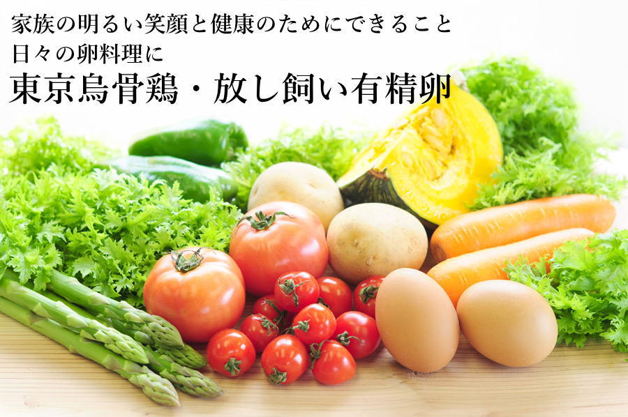 東京烏骨鶏 烏骨鶏 50個 有精卵 放し飼い 洗浄済み 送料無料 | 東京
