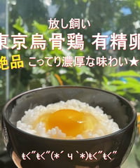 東京烏骨鶏 烏骨鶏 50個 有精卵 放し飼い 洗浄済み 送料無料 | 東京