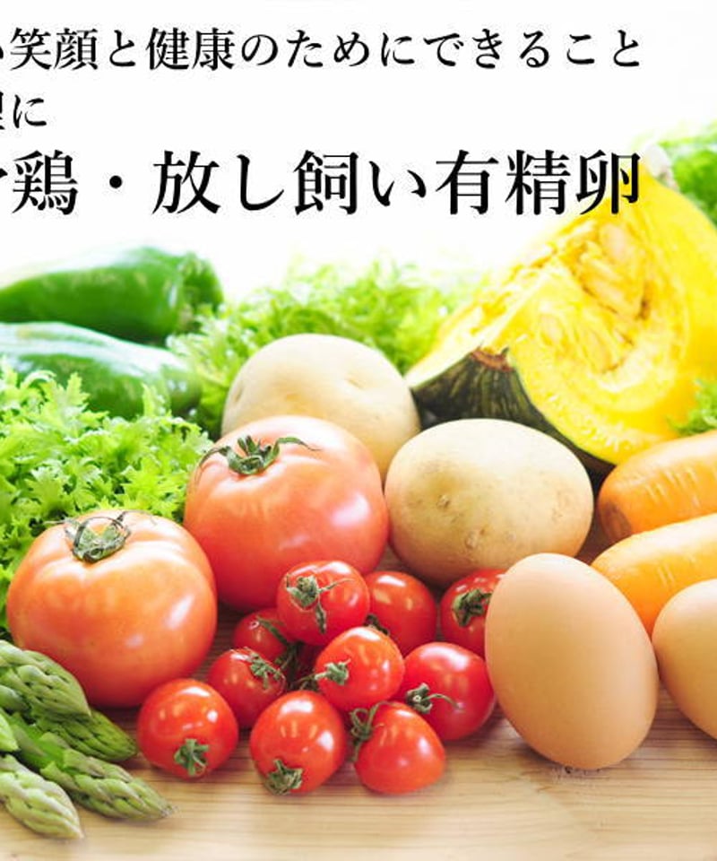 東京烏骨鶏 烏骨鶏 40個 有精卵 放し飼い 洗浄済み 送料無料 | 東京