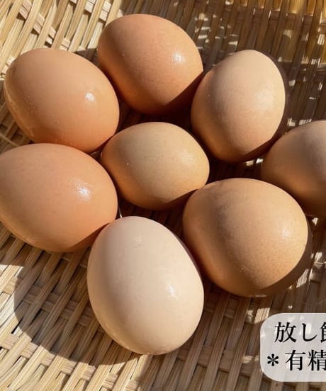 東京烏骨鶏 烏骨鶏 ４０個 有精卵 放し飼い 洗浄済み 送料無料