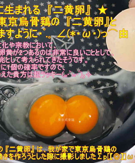 東京烏骨鶏 烏骨鶏 ４０個 有精卵 放し飼い 洗浄済み 送料無料