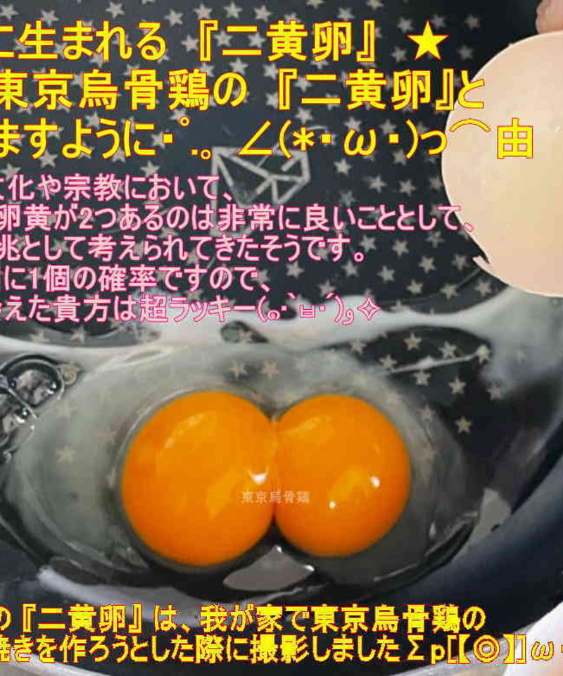 東京烏骨鶏 烏骨鶏 ４０個 有精卵 放し飼い 洗浄済み 送料無料 | 東京