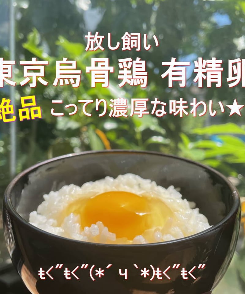 東京烏骨鶏 烏骨鶏 40個 有精卵 放し飼い 洗浄済み 送料無料 | 東京