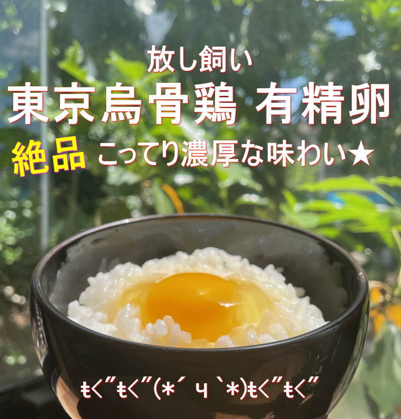 東京烏骨鶏 烏骨鶏 40個 有精卵 放し飼い 洗浄済み 送料無料 | 東京