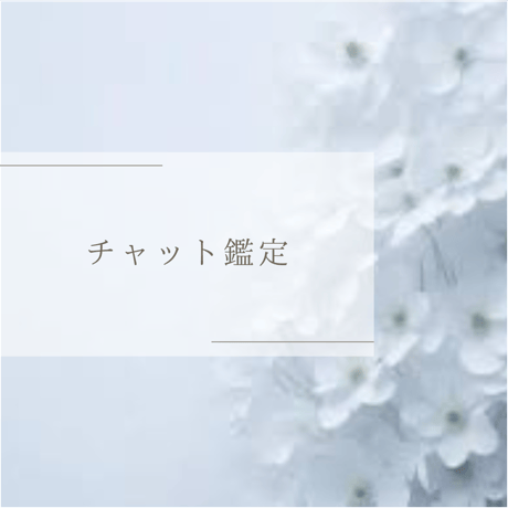 チャット鑑定プラン