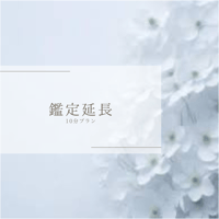 10分追加のプランになります
