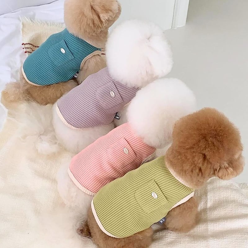 予約】くすみカラー×サーマル素材｜通気性◎おしゃれ犬用タンクトップ