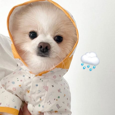 カラフルデザインレインコート 防水 犬用レインコート 雨カッパ 雨具 小型犬 犬服
