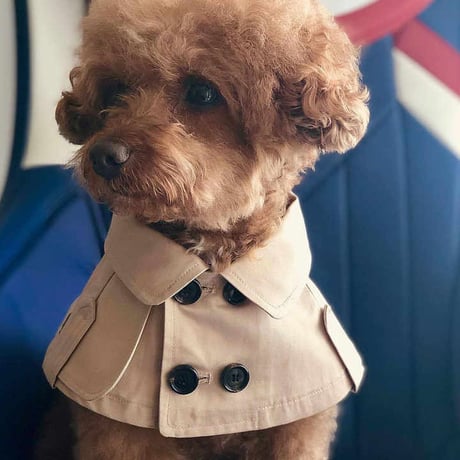 【予約】ケープトレンチ 犬服 犬用ケープ ペット服 ペットウェア トレンチ スタイ 小型犬服