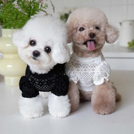 繊細レースカットソー 犬服 ペットウェア レース 犬用カットソー 小型犬服 韓国犬服 ドッグウェア おしゃれ犬