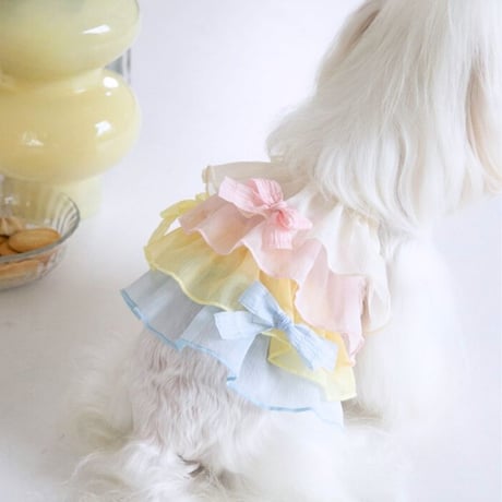 【予約】パステルカラーのフリルワンピース ワンピース 犬服 ペット服 春夏 かわいい犬服
