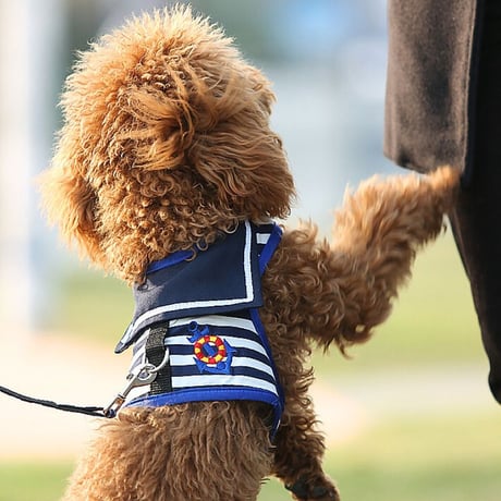 イタグレ服ハンドメイド イエロー花柄ロンパース