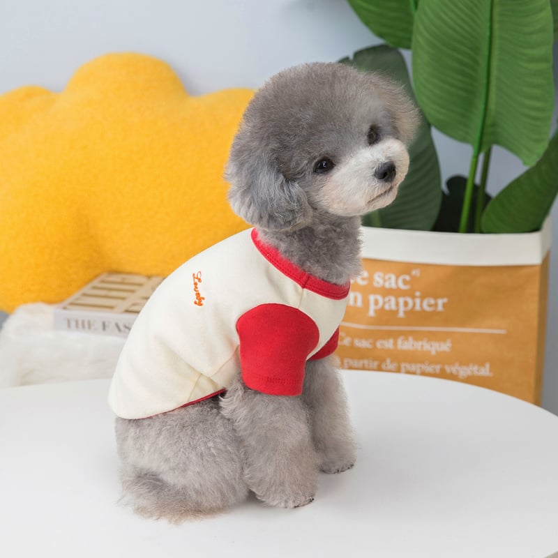 SALE】ラグランカットソー 犬服 ペット服 小型犬服 おしゃれ犬服