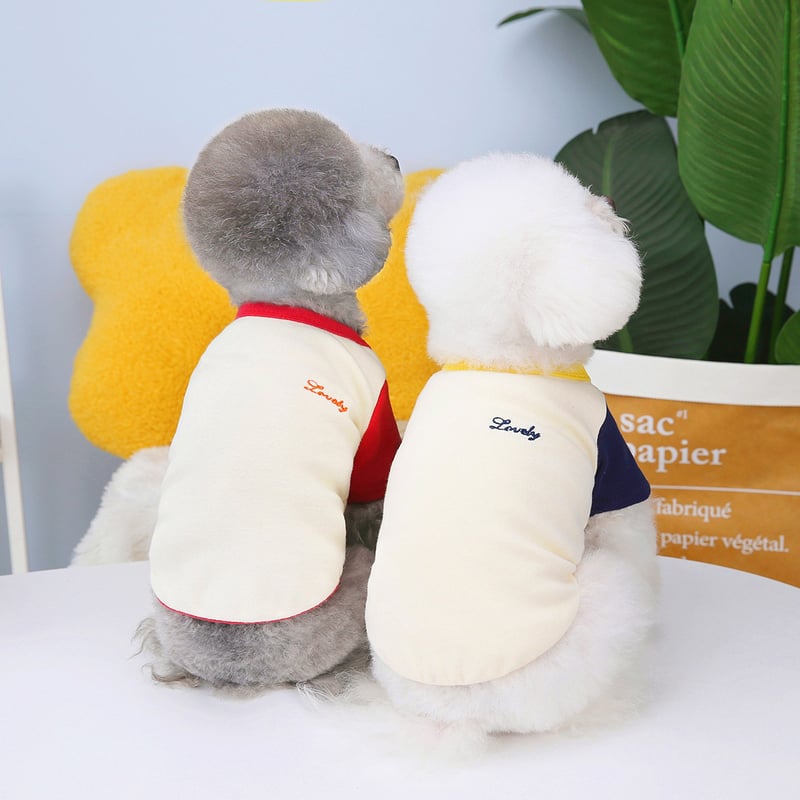 SALE】ラグランカットソー 犬服 ペット服 小型犬服 おしゃれ犬服