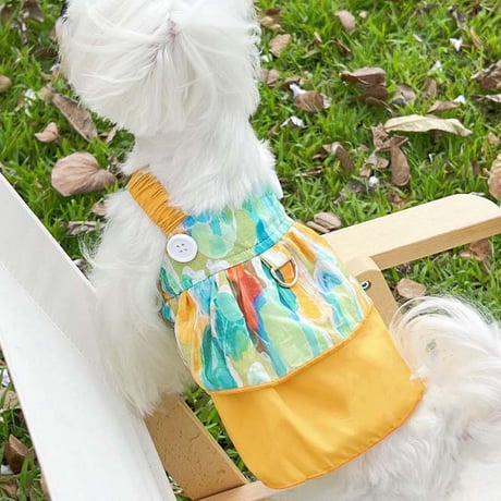 【予約】バイカラー柄ワンピース ワンピ スカート 犬服 ペット服 おしゃれ かわいい