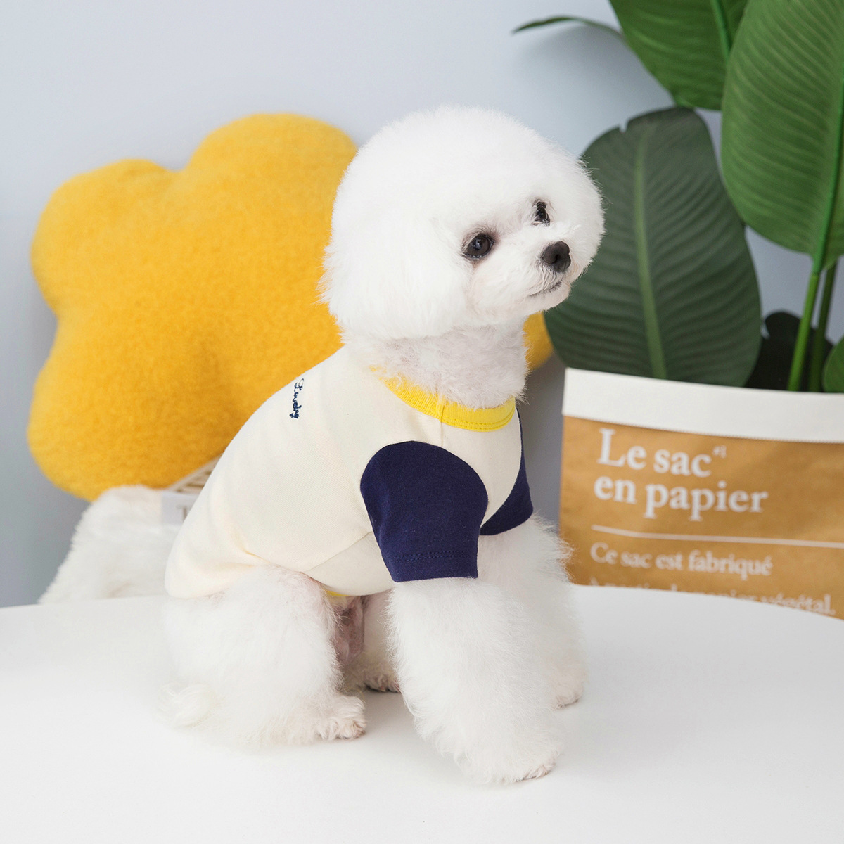 SALE】ラグランカットソー 犬服 ペット服 小型犬服 おしゃれ犬服