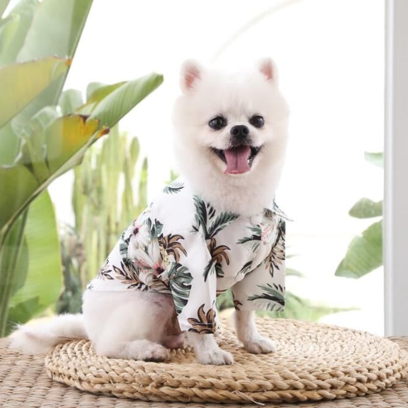 ワンコ服　夏物セール中‼︎ アロハシャツ風カットソー　Mサイズ ワンコ服夏物セール中‼︎ アロハシャツ風カットソーMサイズ