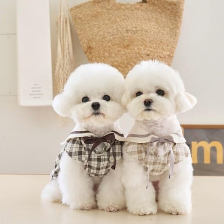 【予約】セーラーカラーのチェック柄トップス 犬服 ペット服 小型犬服 春服