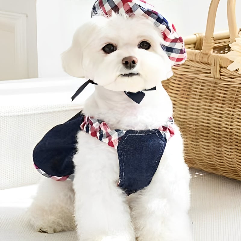 SALE】デニム×チェックワンピース 犬服 ペット服 ワンピース 春