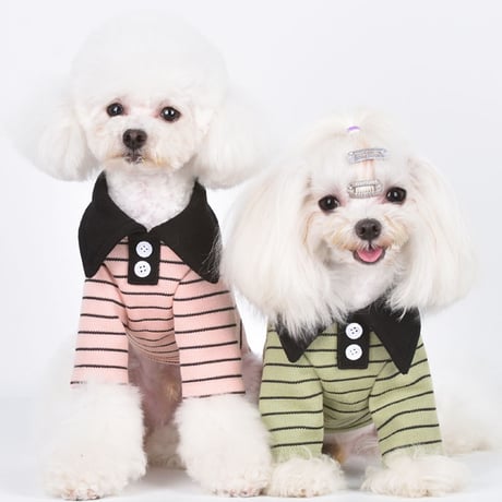 【予約】ボーダーポロシャツ 犬服 ペット服 小型犬服 韓国犬服 襟付き Tシャツ