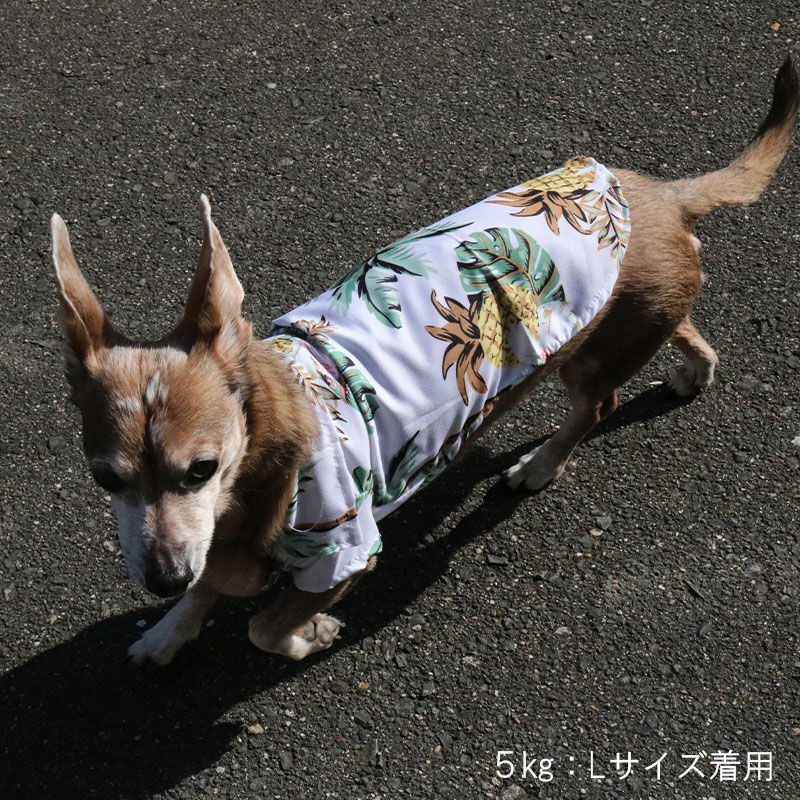 【美品】トクコプルミエヴォル 猫　犬　ブラウス　シャツ　ネコ　動物　動物柄 Sakka シャツ ネコ柄 フレンチブル柄 アニマル総柄シャツ 日本製