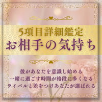 【お相手の気持ち詳細鑑定】お相手の“裏の気持ち”本音の部分まで探ります。理解を深めて心を掴んでいきましょう✨