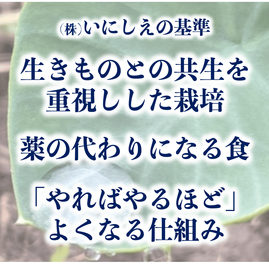 64f69cfe3afb9c0bab6d6164