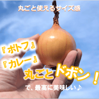 自然栽培『玉ねぎ』小玉サイズ【スーッと入る、喉ごしの良い野菜シリーズ】