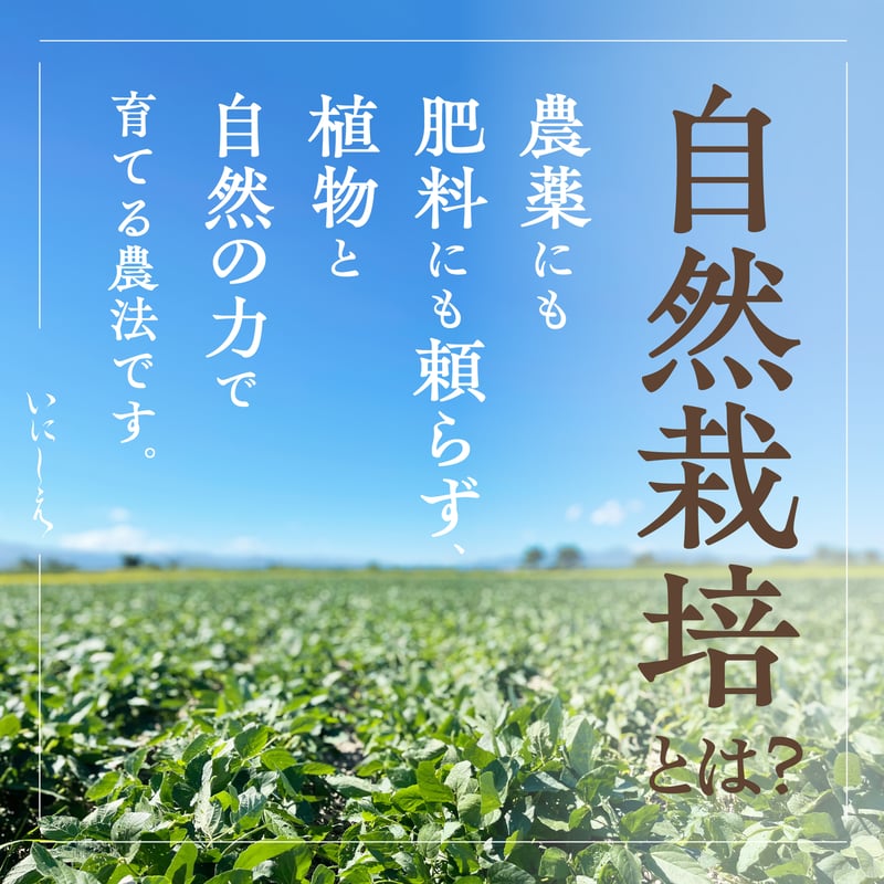 大豆（秘伝豆）自然栽培 5kg/10kg/30kg | 無添加調味料専門の通販