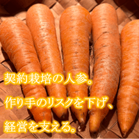 自然栽培『にんじん』バラ詰め【スーッと入る、喉ごしの良い野菜シリーズ】