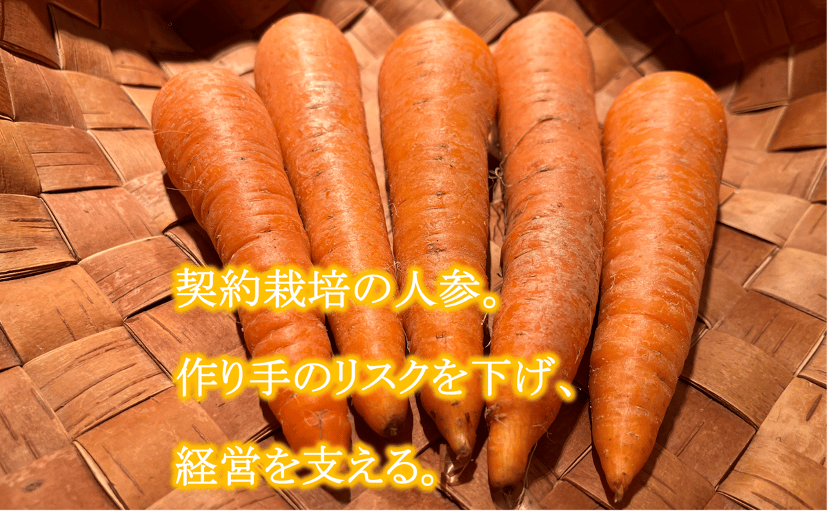 自然栽培『にんじん』バラ詰め【スーッと入る、喉ごしの良い野菜