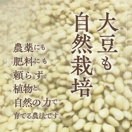 里のほほえみ　自然栽培大豆 500g/2kg