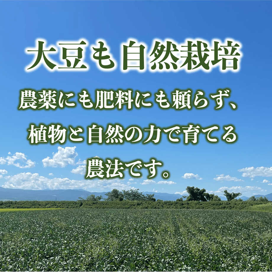 653909bb6cb68c0001e21729