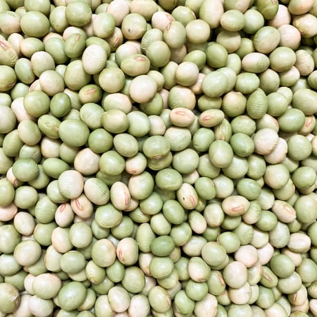 秘伝豆　自然栽培大豆 500g/2kg
