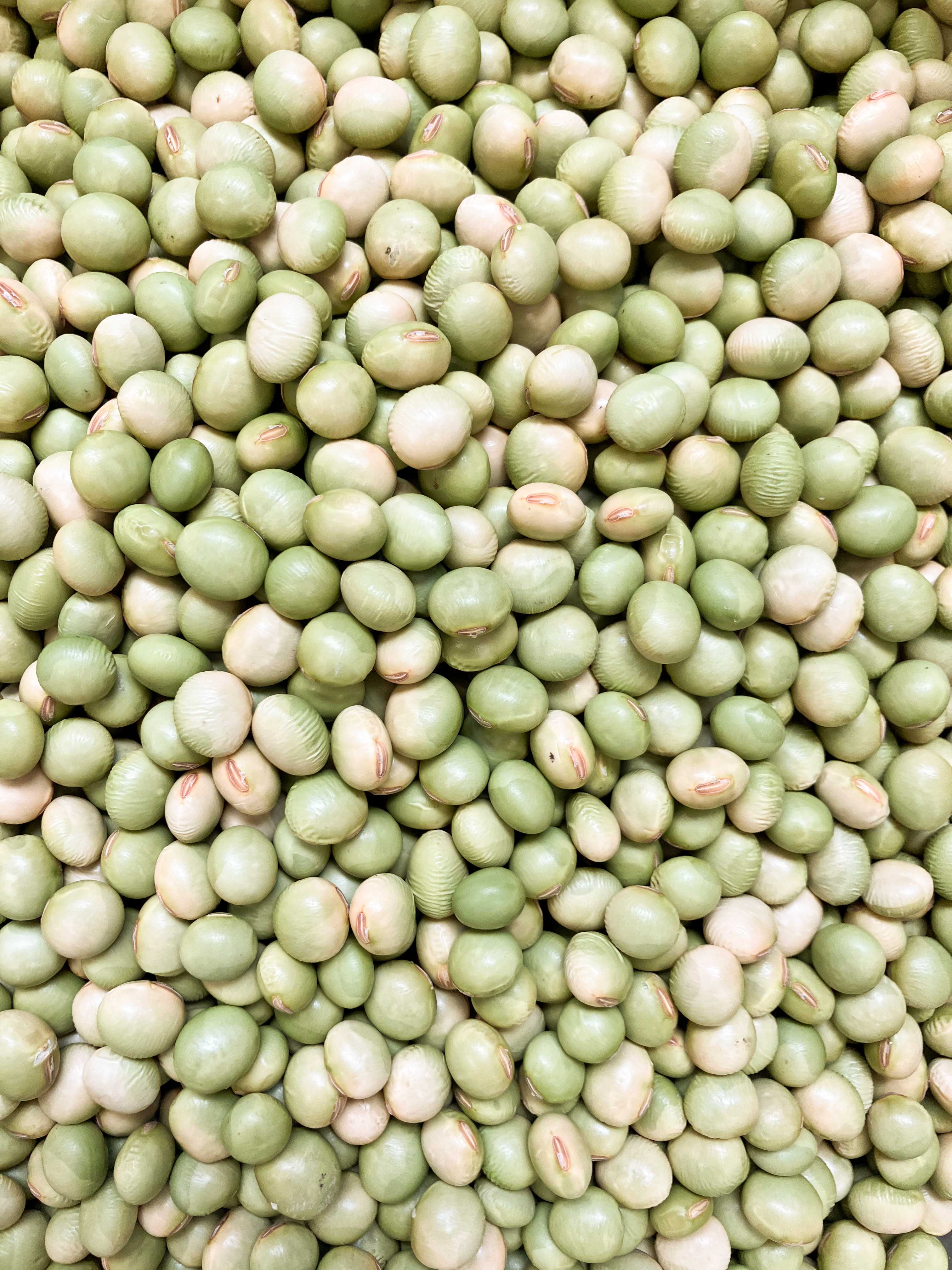 秘伝豆 自然栽培大豆 500g/2kg | 無添加調味料専門の通販サイト｜しょ