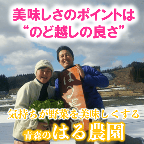 自然栽培『にんじん』バラ詰め【スーッと入る、喉ごしの良い野菜シリーズ】
