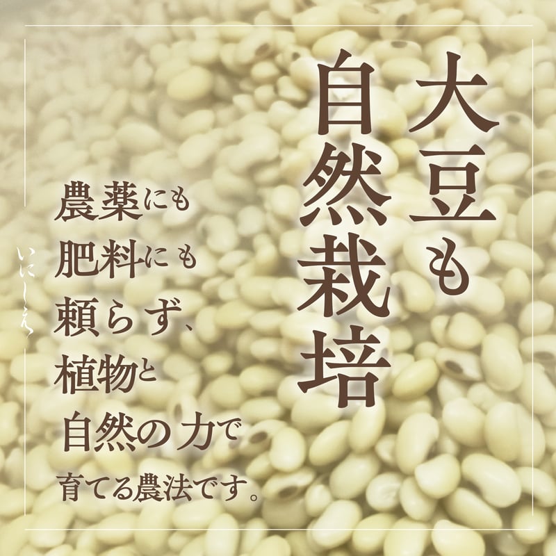 大豆（秘伝豆）自然栽培 5kg/10kg/30kg | 無添加調味料専門の通販