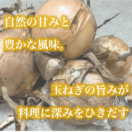 自然栽培『玉ねぎ』小玉サイズ【スーッと入る、喉ごしの良い野菜シリーズ】