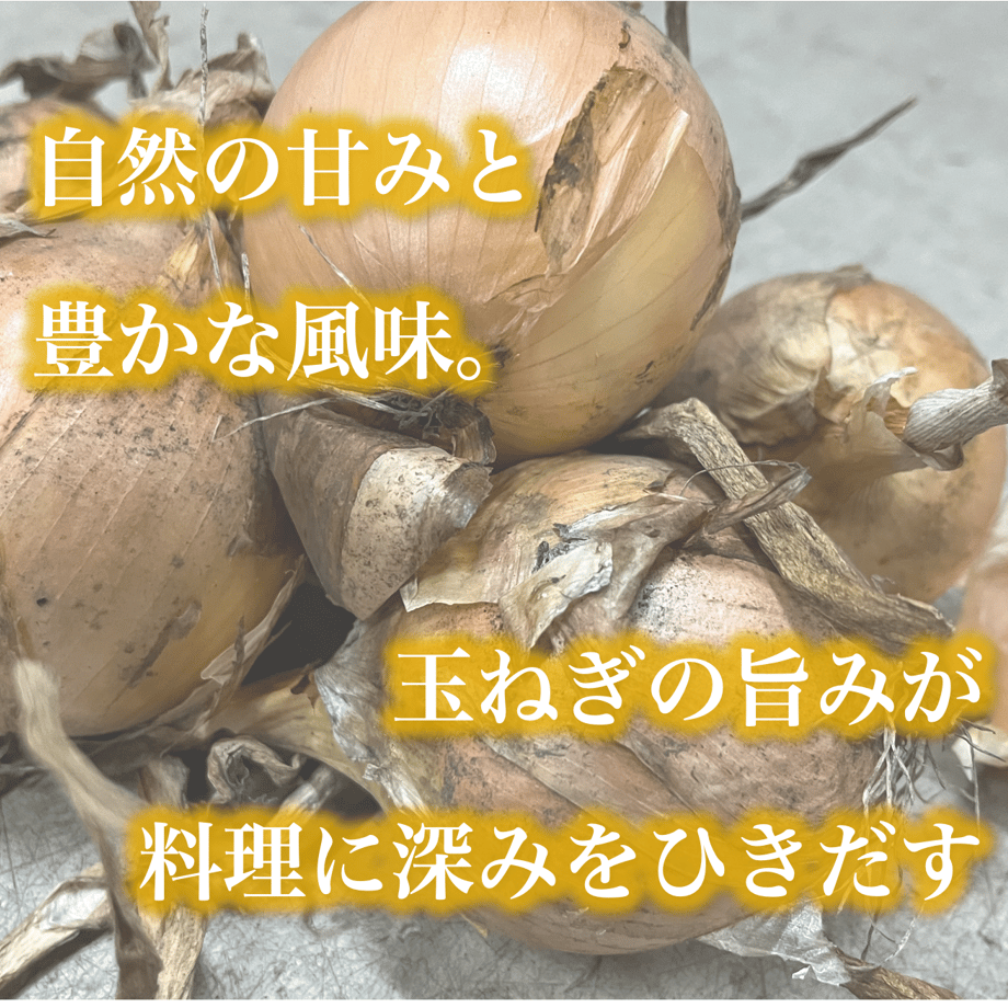 64f594832fa52a00292c75a7