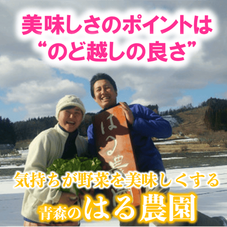 自然栽培『玉ねぎ』小玉サイズ【スーッと入る、喉ごしの良い野菜シリーズ】