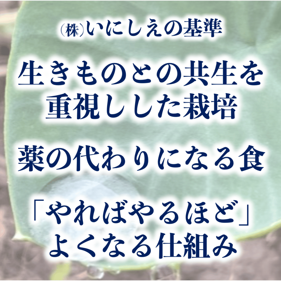 64f594832fa52a00292c75a7