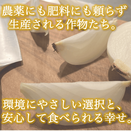 自然栽培『玉ねぎ』小玉サイズ【スーッと入る、喉ごしの良い野菜シリーズ】