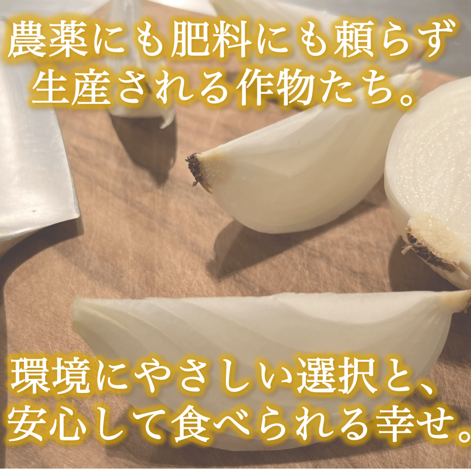 64f594832fa52a00292c75a7