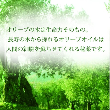 【REGINA】女王のオイル｜Olio di Regina エクストラバージンオリーブオイル