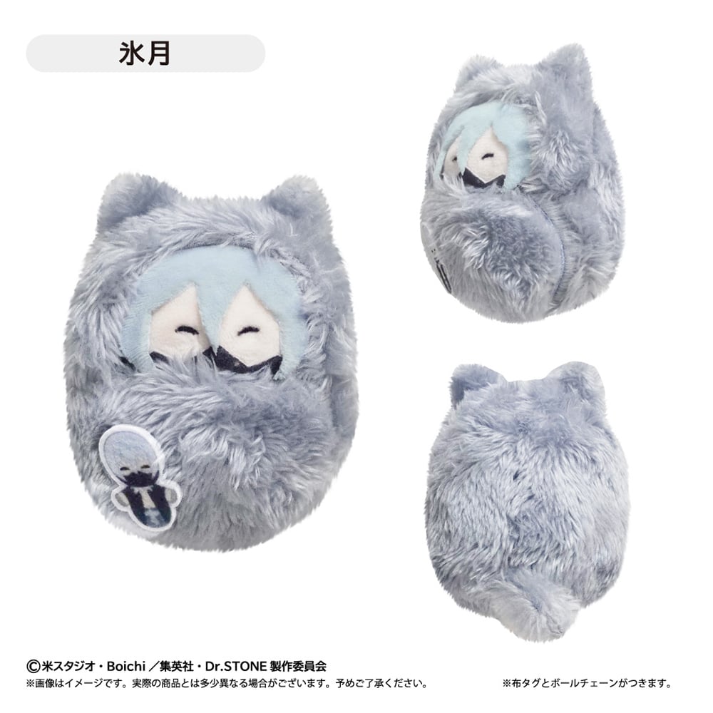 Dr.STONE　くるみたぴぬい 全6種【BOX】 Dr.STONE くるみたぴぬい 第2弾 | TAPIOCA online shop