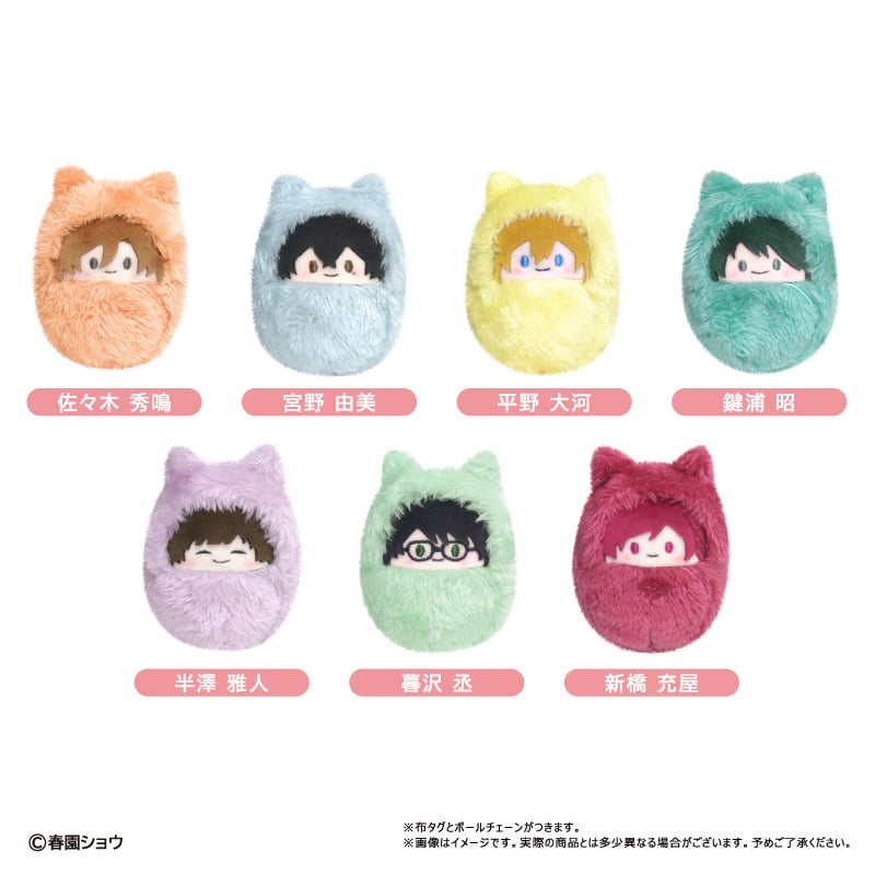 佐々木と宮野 くるみたぴぬい | TAPIOCA online shop｜アニメグッズの