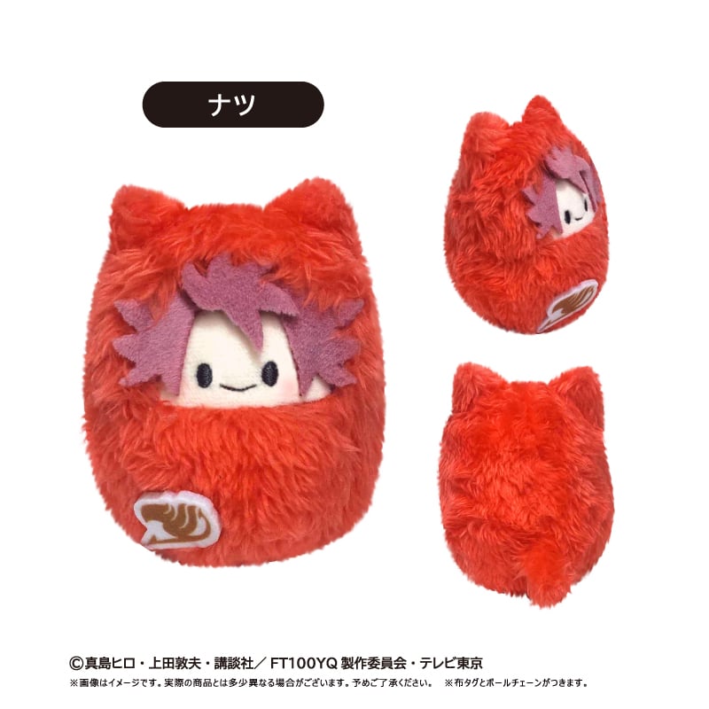 FAIRY TAIL 100年クエスト くるみたぴぬい | TAPIOCA online sh