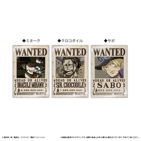 ONE PIECE　アクリル手配書マグネットvol.5