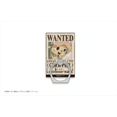 ONE PIECE　手配書ホールドリング